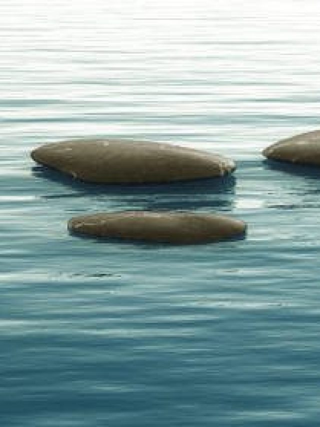 Zahnarztangst-Ratgeber